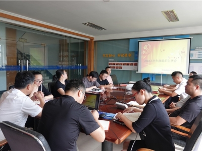 五彩堂科技党支部开展2022年上半年度组织生涯会